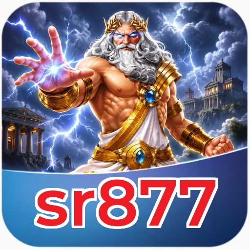 Performance Analysis - sr877 Benchmark Results