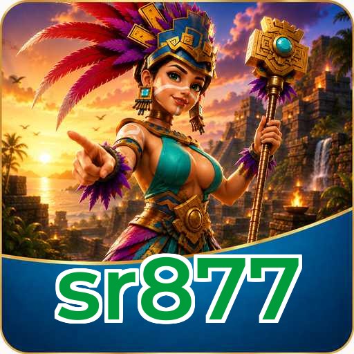 Privacy & Security sr877