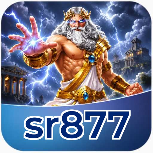 Developer Info sr877