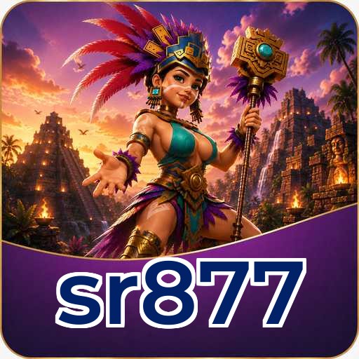 Expert Verdict - sr877 Final Assessment