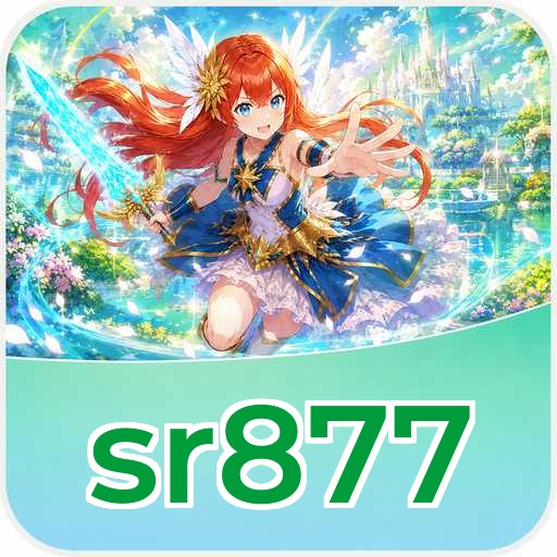Overview sr877